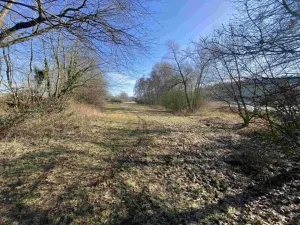 Dražba louky, Kváskovice, 10470 m2