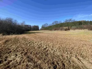 Dražba louky, Kváskovice, 10470 m2