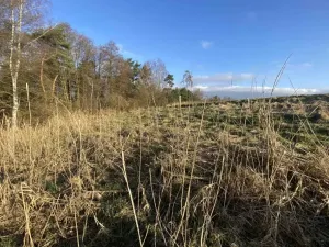 Dražba louky, Okna, 448 m2