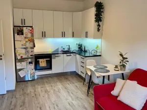 Pronájem bytu 2+kk, Praha, Karlovarská, 42 m2