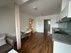 Pronájem bytu 2+kk, České Budějovice, Lipenská, 45 m2