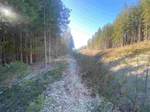Prodej pole, Železná Ruda - Špičák, 1644 m2