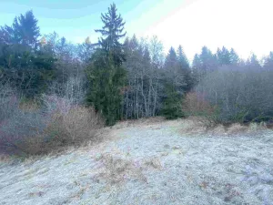 Prodej pole, Železná Ruda, 2377 m2