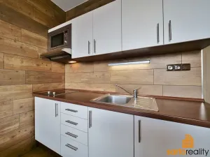 Pronájem bytu 1+kk, Ústí nad Labem, Větrná, 20 m2