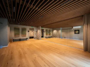 Prodej bytu 1+kk, Brno - Zábrdovice, Bratislavská, 23 m2