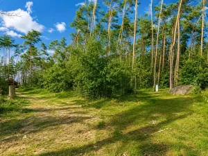 Prodej pozemku pro bydlení, Hradištko, Kersko, 4428 m2