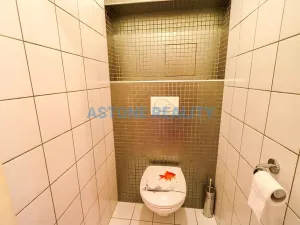 Pronájem bytu 1+kk, Praha - Ruzyně, Dědinská, 39 m2