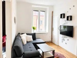 Pronájem bytu 2+kk, Plzeň, Čechova, 48 m2