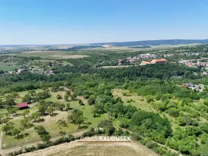 Prodej sadu/vinice, Dolní Kounice, 2107 m2