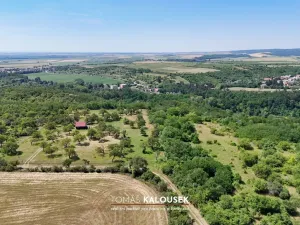 Prodej sadu/vinice, Dolní Kounice, 2107 m2