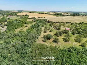 Prodej zahrady, Dolní Kounice, 2371 m2