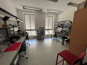 Pronájem kanceláře, České Budějovice, Fráni Šrámka, 250 m2