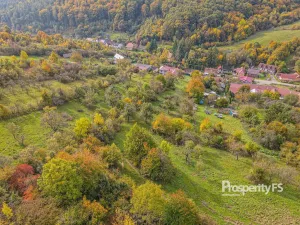 Prodej pozemku, Jankovice, 10000 m2