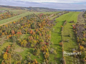 Prodej pozemku, Jankovice, 10000 m2