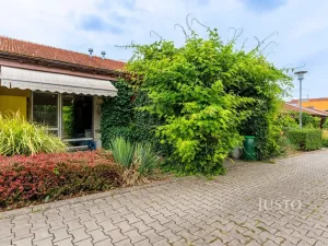 Prodej bytu 1+kk, Šakvice, Hlavní, 31 m2