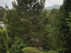 Prodej rodinného domu, Stráž nad Nisou, Kateřinská, 204 m2
