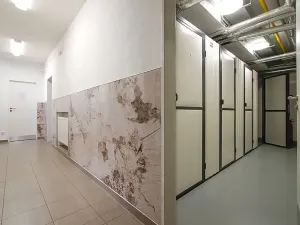 Pronájem atypického bytu, Třeboň, Svobody, 38 m2
