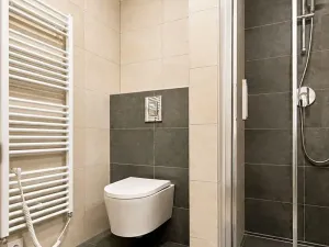 Pronájem bytu 1+kk, Olomouc, Frištenského, 32 m2