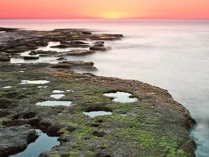 Prodej rodinného domu, Torrevieja, Alicante, Španělsko, 79 m2