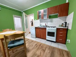 Pronájem bytu 1+1, Brno, Vápenka, 45 m2