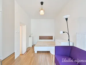Pronájem bytu 1+kk, Brno, Netušilova, 32 m2