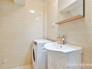 Pronájem bytu 1+kk, Brno, Netušilova, 32 m2