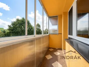 Prodej bytu 2+1, Nový Jičín, Dlouhá, 62 m2