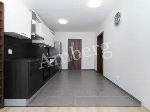 Prodej bytu 2+kk, Praha - Žižkov, Na Vackově, 53 m2