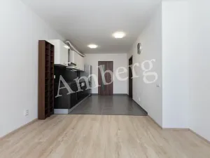 Prodej bytu 2+kk, Praha - Žižkov, Na Vackově, 53 m2
