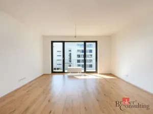 Pronájem bytu 2+kk, Plzeň - Jižní Předměstí, Železná, 56 m2