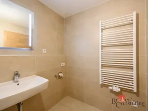 Pronájem bytu 2+kk, Plzeň - Jižní Předměstí, Železná, 56 m2