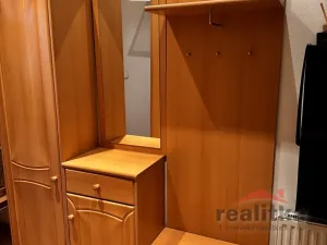 Pronájem bytu 1+kk, Opava - Předměstí, Na Nivě, 35 m2