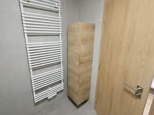 Pronájem bytu 1+kk, Opava, Císařského pluku, 41 m2