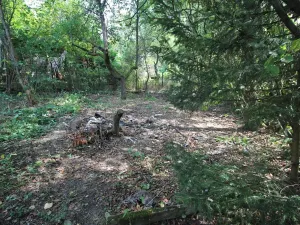 Prodej pozemku pro bydlení, Psáry, 1000 m2