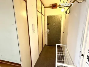 Pronájem bytu 2+1, České Budějovice, Mánesova, 61 m2