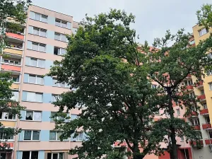 Pronájem bytu 3+1, České Budějovice, V. Volfa, 68 m2