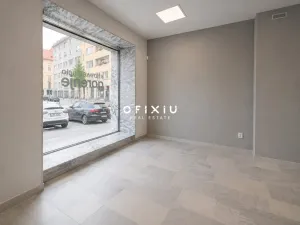 Pronájem obchodního prostoru, Brno, Dominikánské náměstí, 109 m2