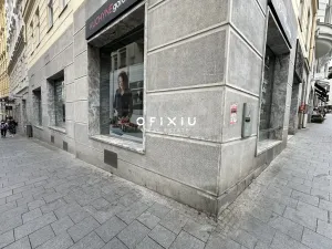 Pronájem obchodního prostoru, Brno, Dominikánské náměstí, 109 m2