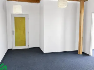 Pronájem vícegeneračního domu, Praha - Libeň, Na hrázi, 400 m2