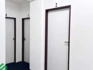Pronájem vícegeneračního domu, Praha - Libeň, Na hrázi, 400 m2