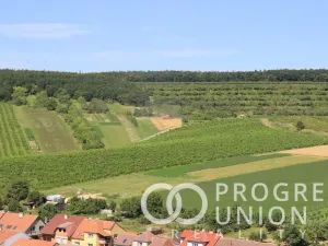 Prodej rodinného domu, Nechvalín, 100 m2