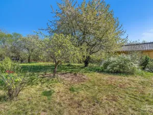 Prodej chaty, Hradec Králové, Zahrádkářská osada Bohdanečská, 23 m2