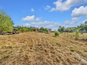 Prodej rodinného domu, Nechanice - Suchá, 204 m2