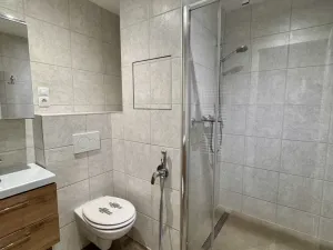Prodej bytu 1+1, Nové Sedlo, 38 m2
