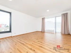 Pronájem bytu 1+kk, Plzeň - Jižní Předměstí, Železná, 47 m2