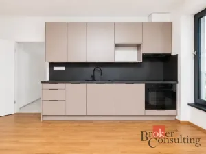 Pronájem bytu 1+kk, Plzeň - Jižní Předměstí, Železná, 47 m2