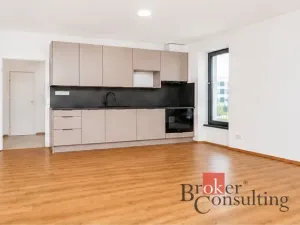 Pronájem bytu 1+kk, Plzeň - Jižní Předměstí, Železná, 47 m2