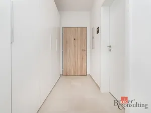 Pronájem bytu 1+kk, Plzeň - Jižní Předměstí, Železná, 47 m2