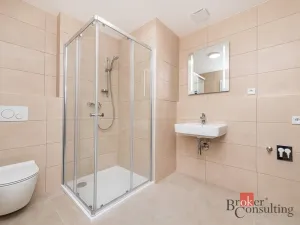 Pronájem bytu 1+kk, Plzeň - Jižní Předměstí, Železná, 47 m2