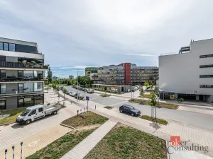 Pronájem bytu 1+kk, Plzeň - Jižní Předměstí, Železná, 47 m2